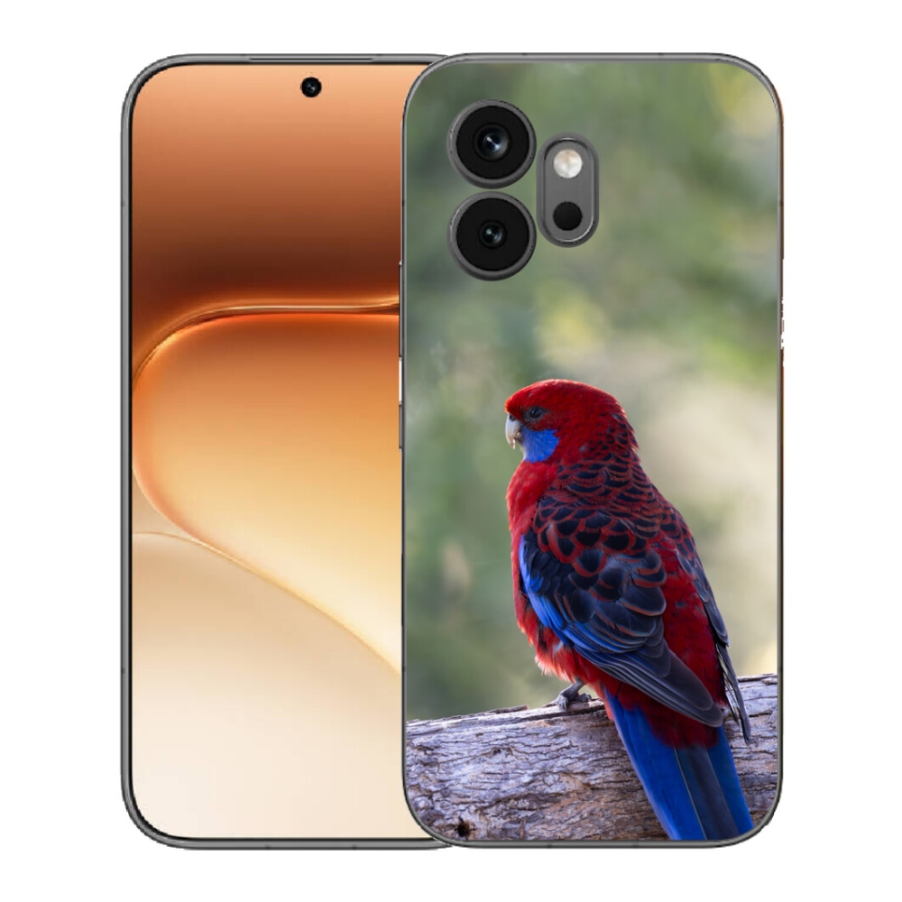 mmCase géltok az Honor 600-hoz – rosella papagáj