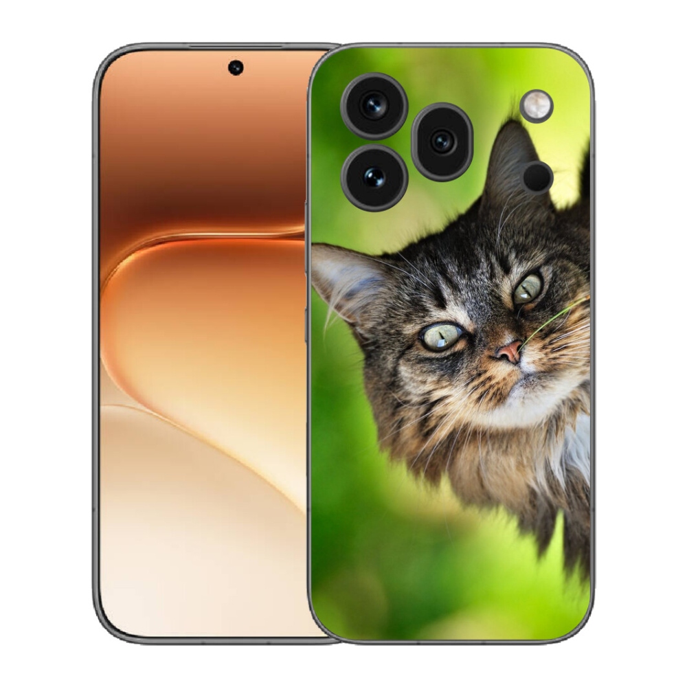 mmCase gél tok az Honor 600 Pro-hoz – macska 3