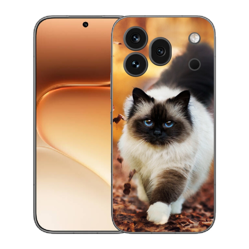 mmCase gél tok az Honor 600 Pro-hoz – macska
