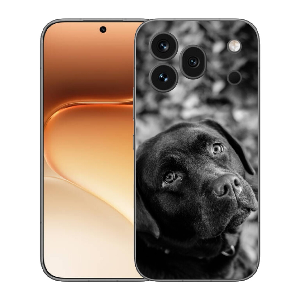 mmCase gélhuzat az Honor 600 Pro-hoz – labrador