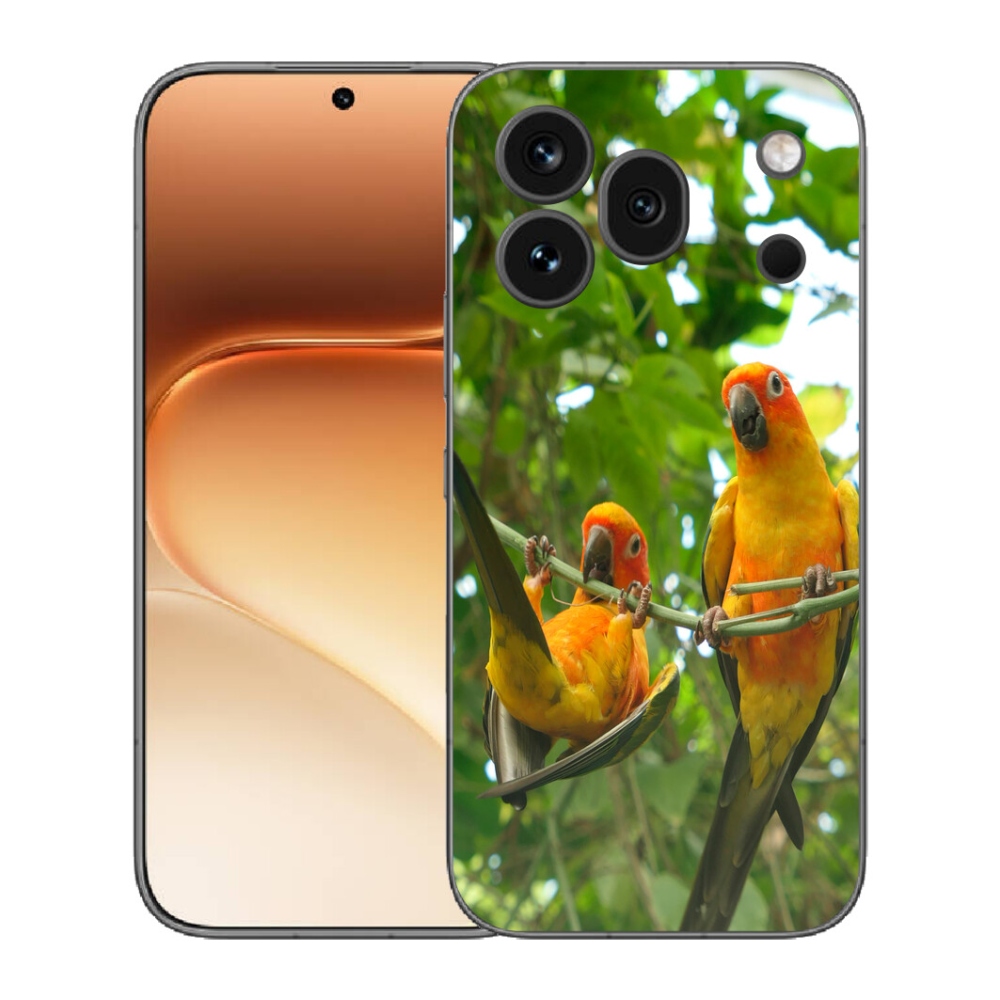 mmCase géltok az Honor 600 Pro-hoz – aratinga papagájok