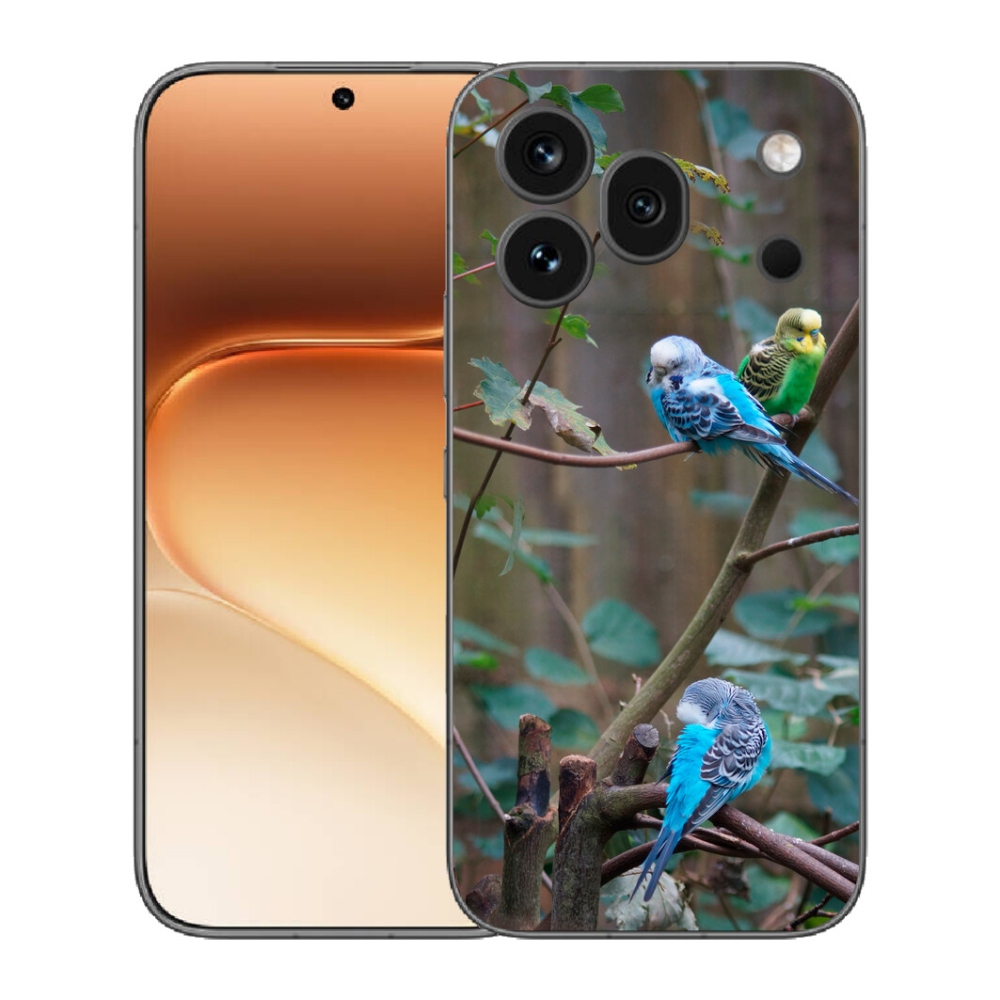 mmCase gél tok az Honor 600 Pro-hoz – papagájok az ágon