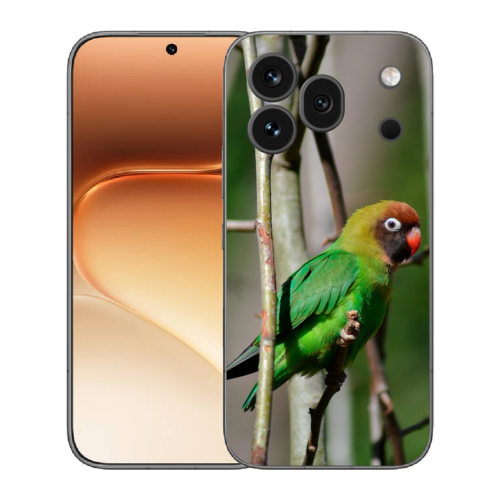 mmCase gél tok az Honor 600 Pro-hoz – agapornis papagáj