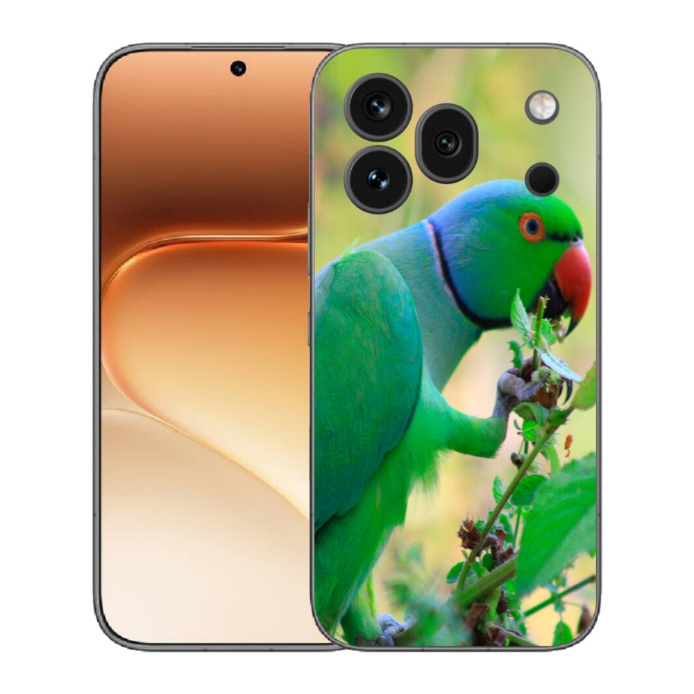 mmCase gél tok az Honor 600 Pro-hoz – alexandri papagáj