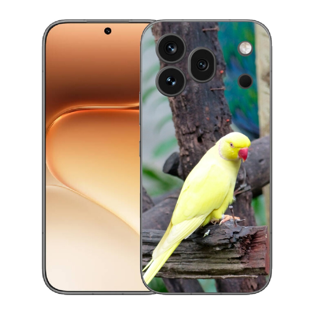 mmCase gél tok az Honor 600 Pro-hoz – sárga alexandri papagáj