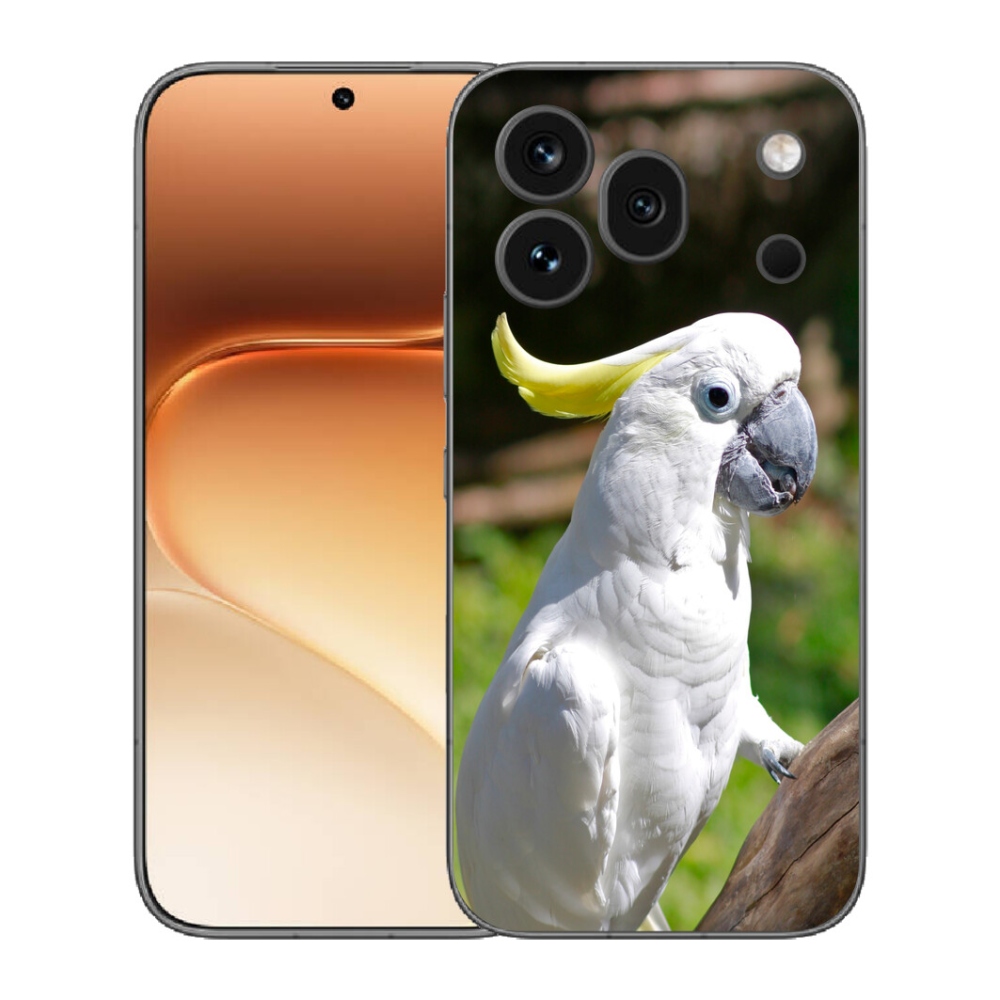 mmCase gélhuzat az Honor 600 Pro-hoz – kakadu papagáj 2