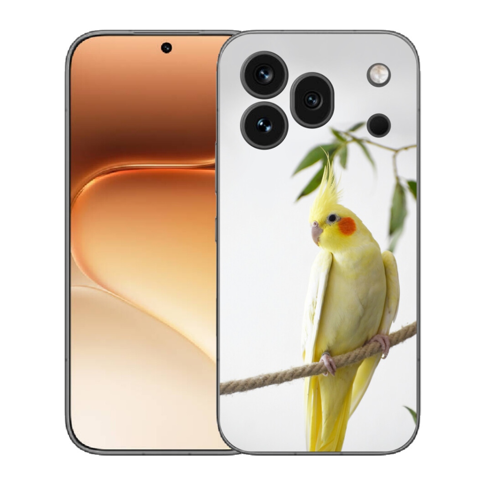 mmCase gél tok az Honor 600 Pro-hoz – tollas papagáj