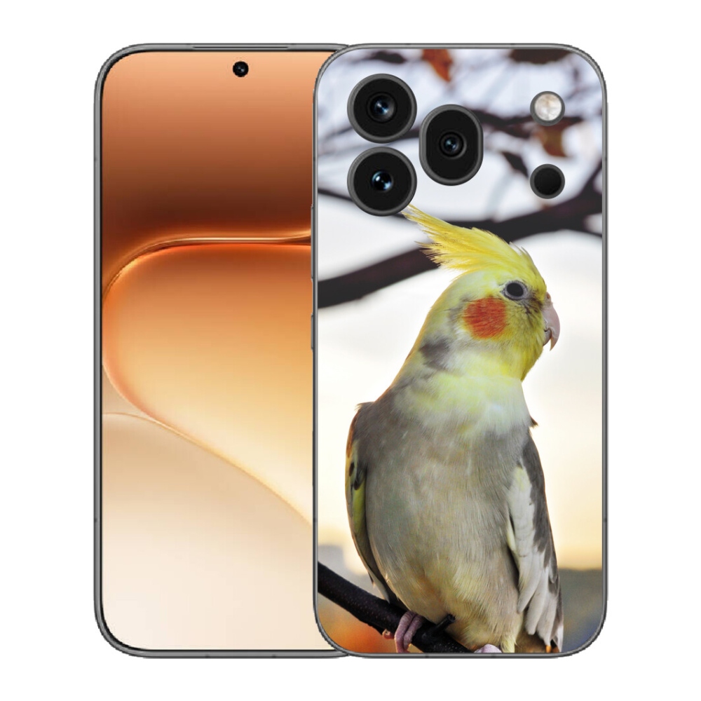 mmCase gél tok az Honor 600 Pro-hoz – korella papagáj