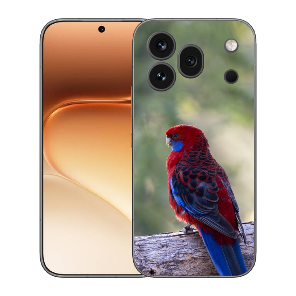 mmCase gél tok az Honor 600 Pro-hoz – rosella papagáj