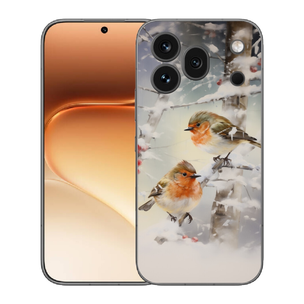 mmCase gél tok az Honor 600 Pro-hoz – madarak télen