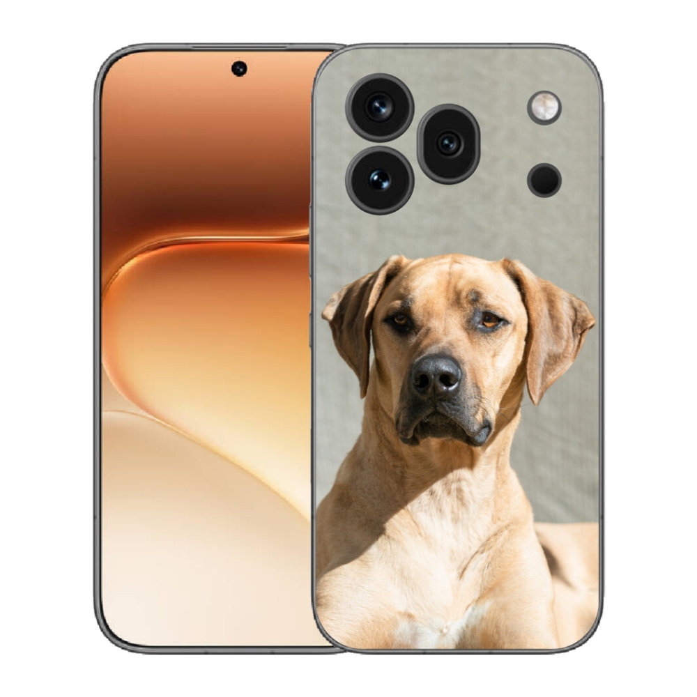 mmCase gélhuzat az Honor 600 Pro-hoz – ridgeback