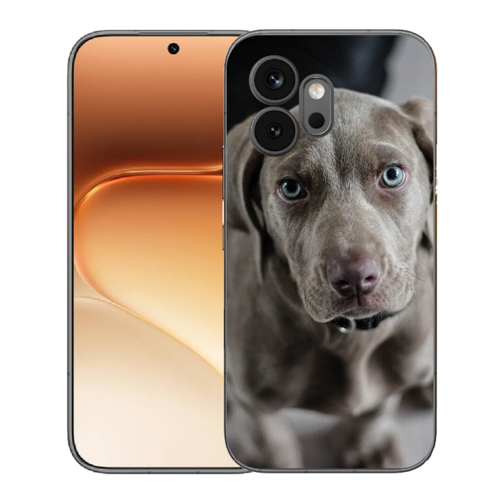 mmCase géltok az Honor 600-hoz – weimari vizsla