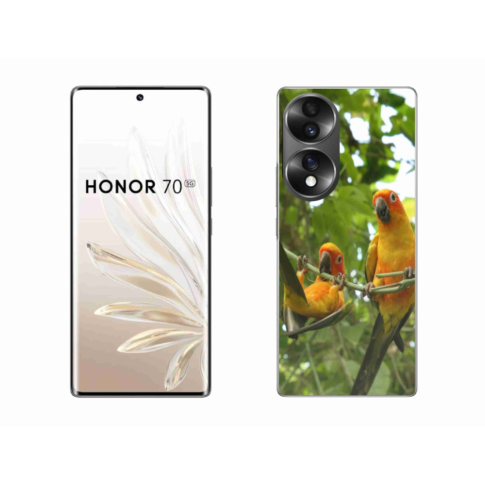 Gél borítás mmCase a Honor 70-hez - papagájok aratingy