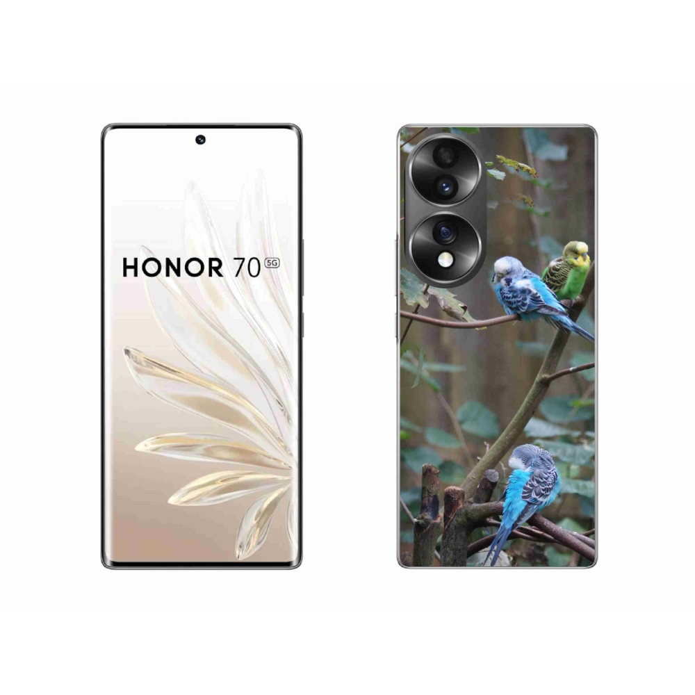 Zselés borító mmCase a Honor 70-hez - papagájok az ágon