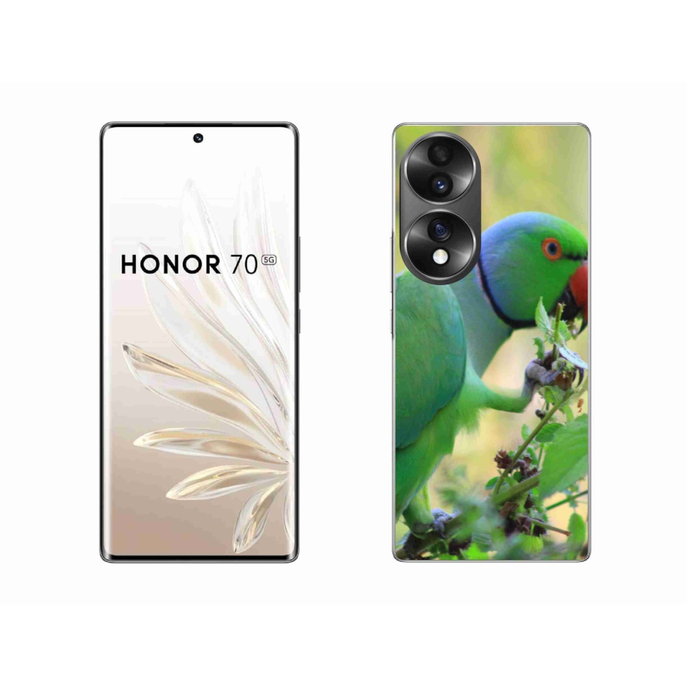 Zselés borítás mmCase a Honor 70 készülékhez - papagáj alexandr