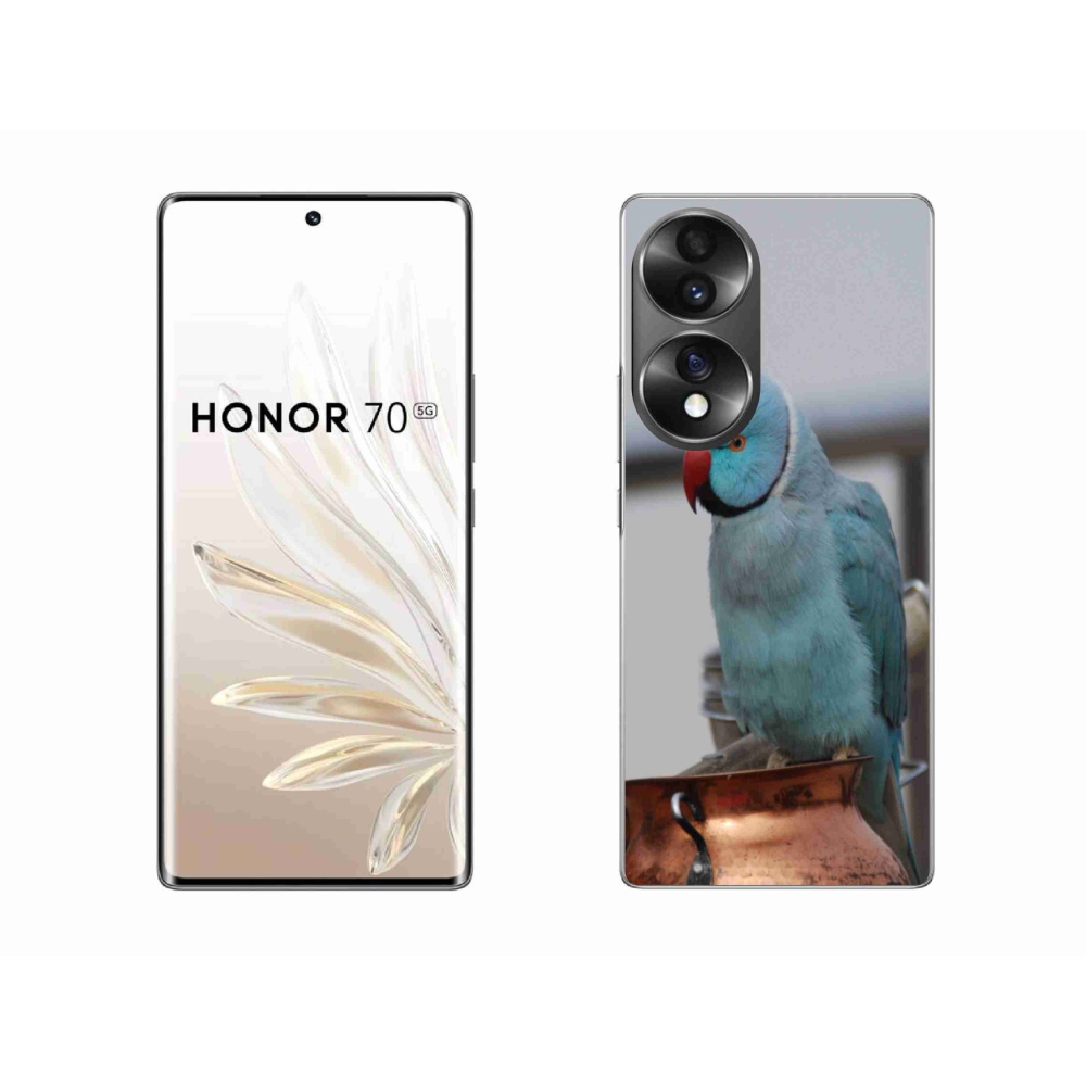 Zselés borítás mmCase a Honor 70 készülékhez - papagáj alexander kék