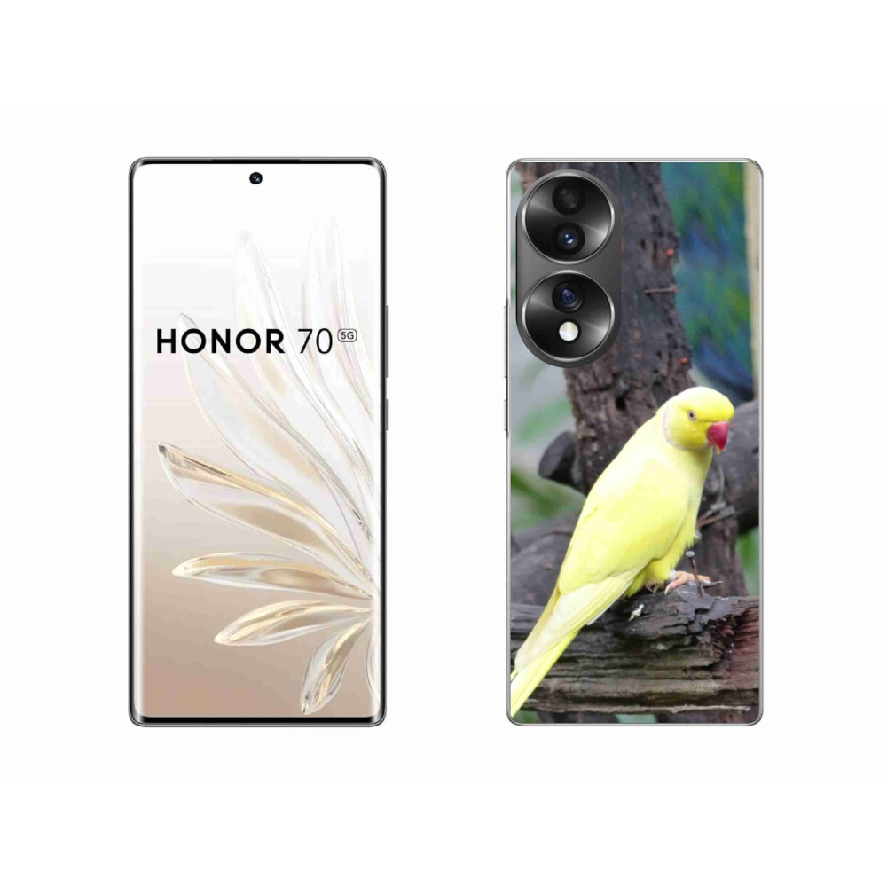 Zselés borítás mmCase a Honor 70 készülékhez - papagáj alexander sárga