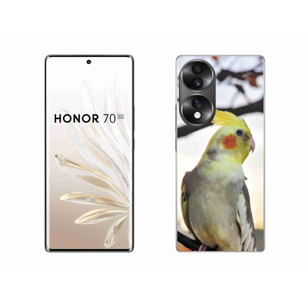 Zselés borítás mmCase a Honor 70 készülékhez - papagáj korela