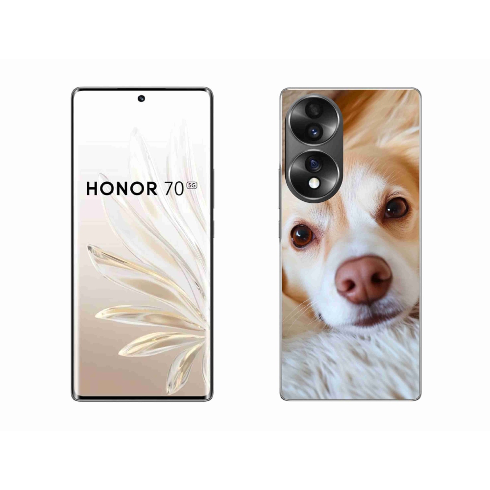 Zselés borítás mmCase a Honor 70 készülékhez - Aranyos csivava