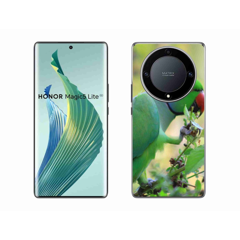 Zselés borítás mmCase a Honor Magic 5 Lite 5G készülékhez - papagáj alexandr