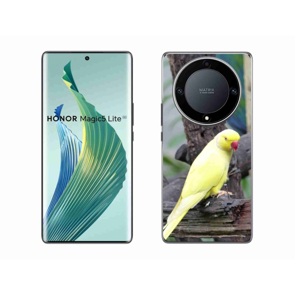 Zselés borítás mmCase a Honor Magic 5 Lite 5G készülékhez - papagáj alexander sárga
