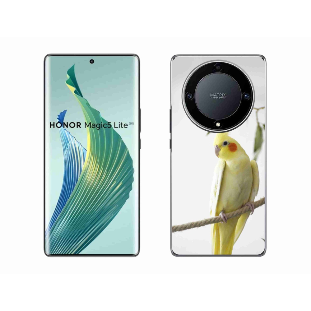 mmCase géltok az Honor Magic 5 Lite-hoz – tollas papagáj