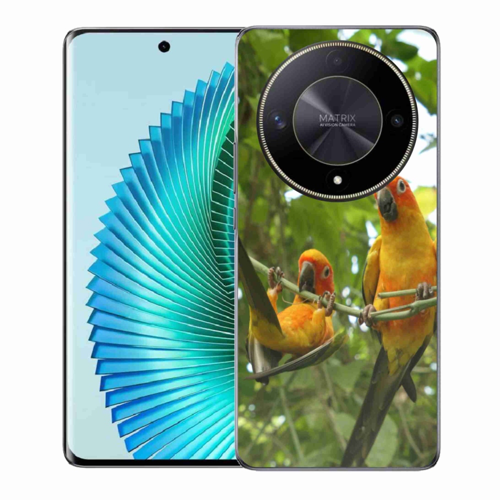 Gél borítás mmCase a Honor Magic 6 Lite 5G számára - papagájok aratingy