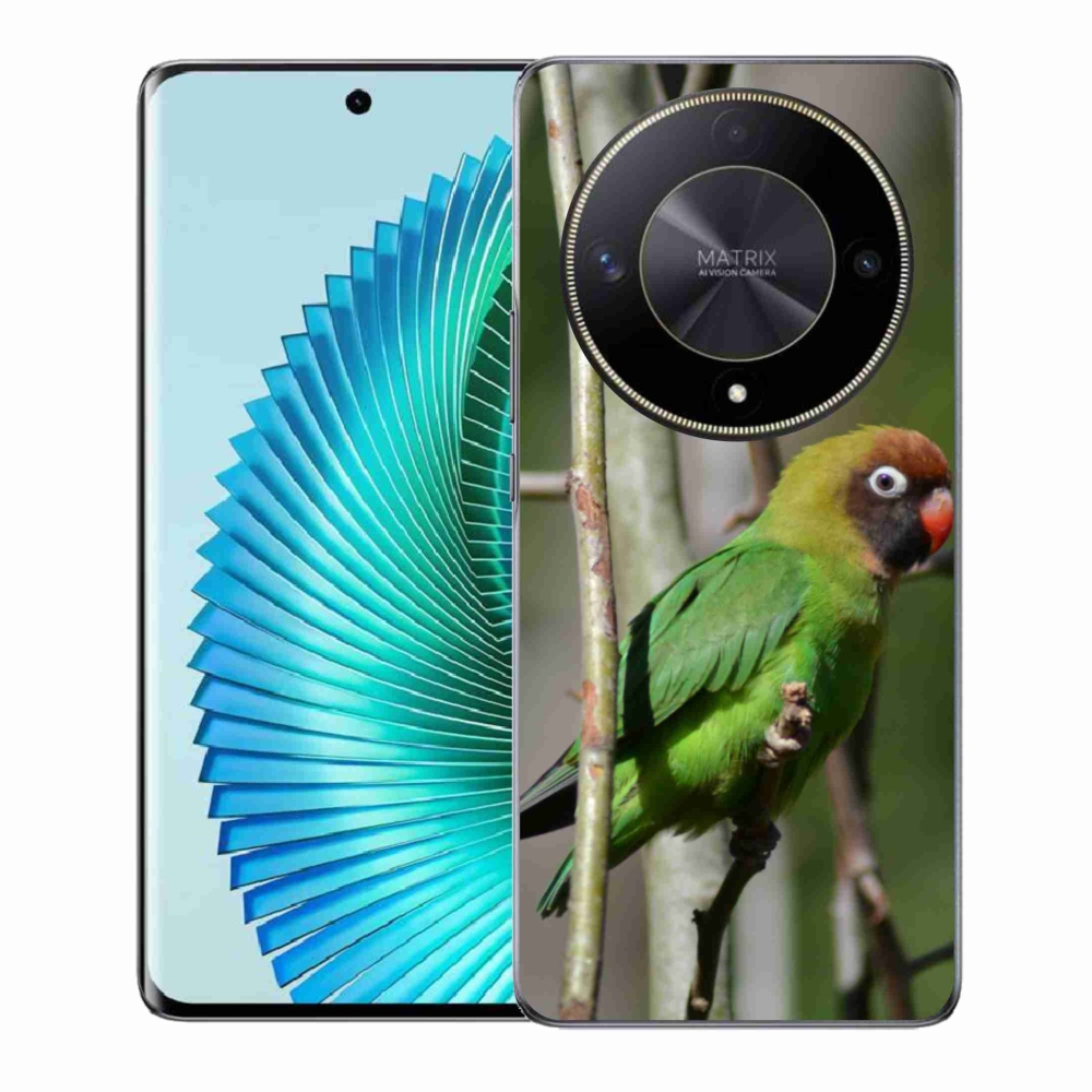 Gél borítás mmCase a Honor Magic 6 Lite 5G készülékhez - papagáj agapornis