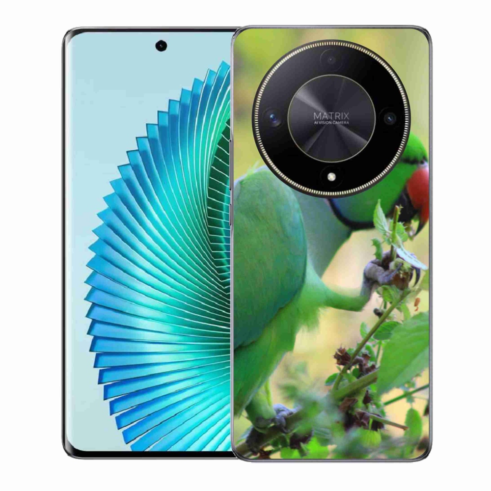 Gél borítás mmCase a Honor Magic 6 Lite 5G készülékhez - papagáj alexandr