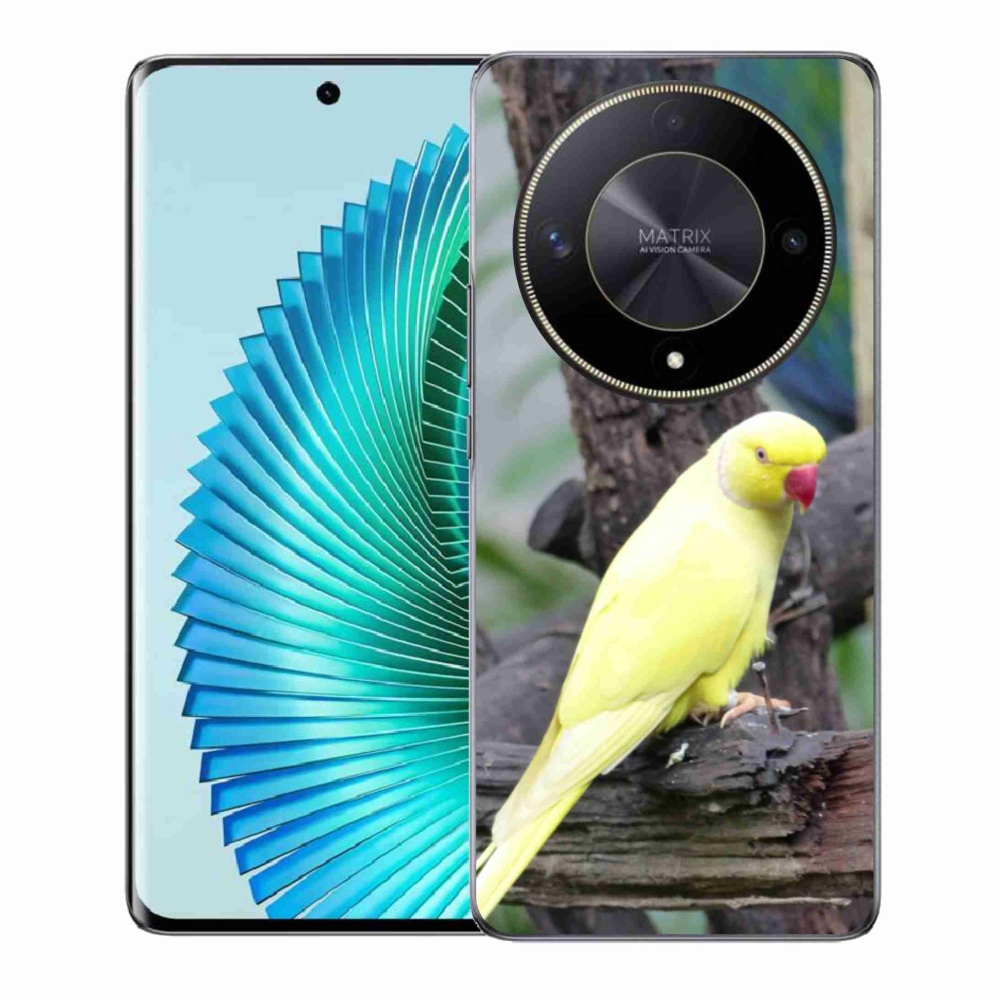 Zselés borítás mmCase a Honor Magic 6 Lite 5G készülékhez - papagáj alexander sárga