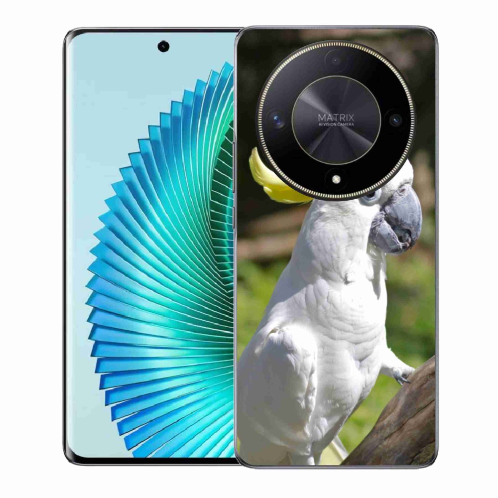 Gél borítás mmCase a Honor Magic 6 Lite 5G számára - papagáj kakadu 2