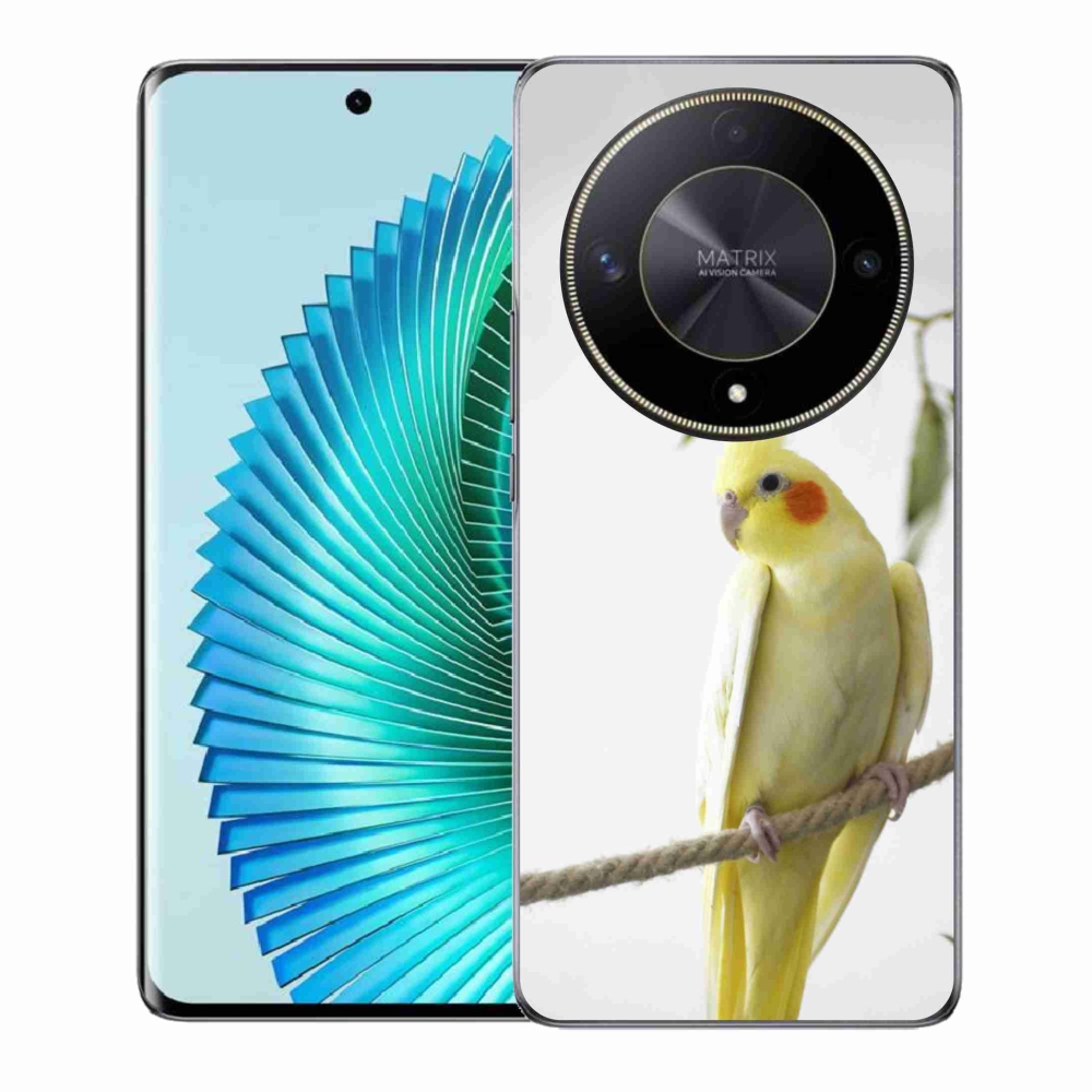 mmCase géltok az Honor Magic 6 Lite 5G-hez – tollas papagáj