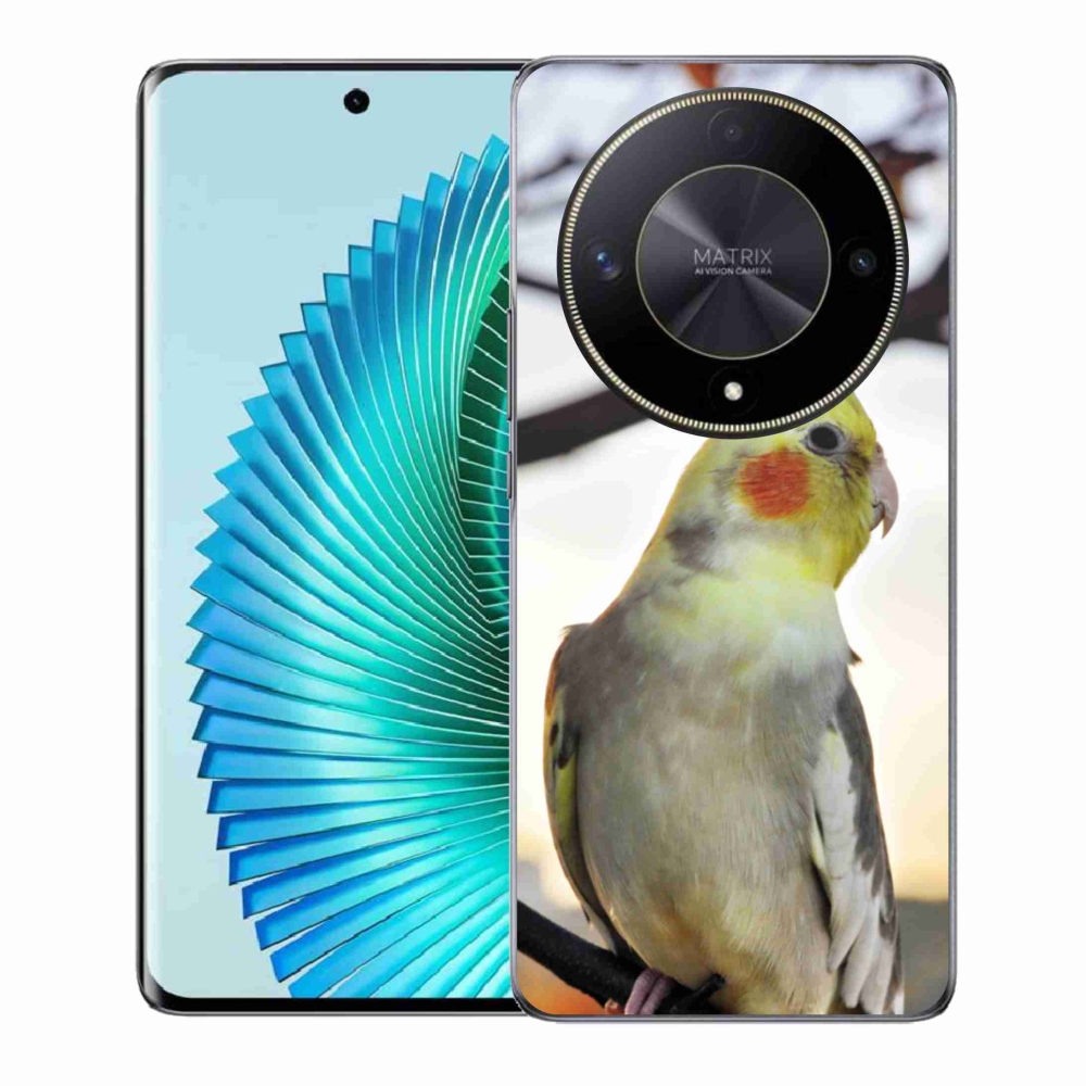 Gél borítás mmCase a Honor Magic 6 Lite 5G készülékhez - papagáj korela