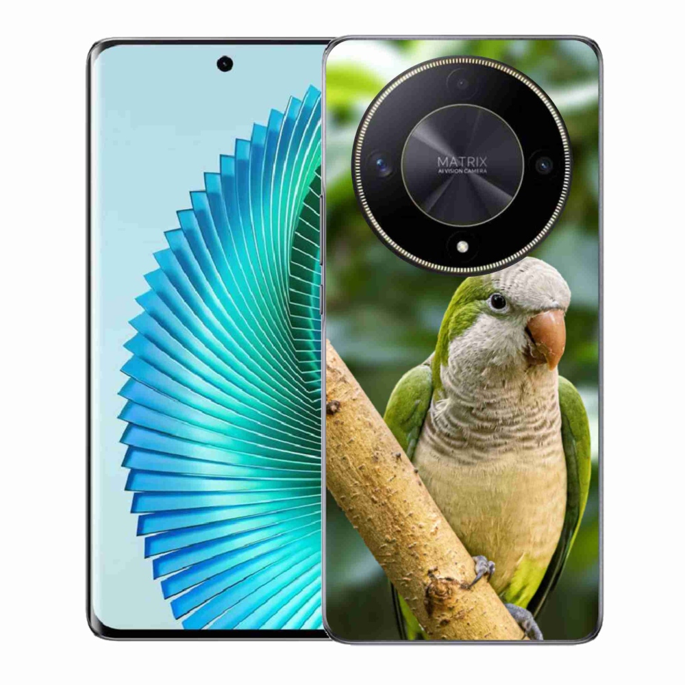Zselés borítás mmCase a Honor Magic 6 Lite 5G készülékhez - papagáj