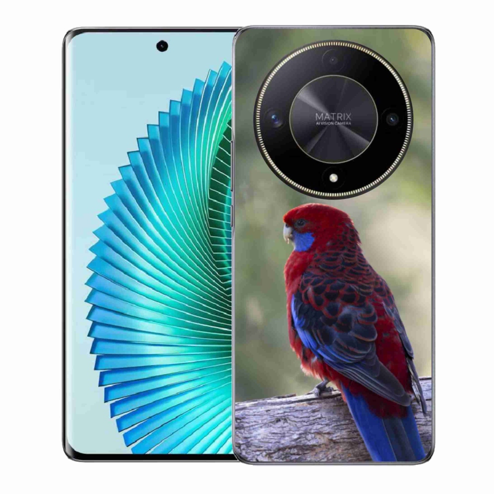 Zselés borítás mmCase a Honor Magic 6 Lite 5G készülékhez - papagáj rosela