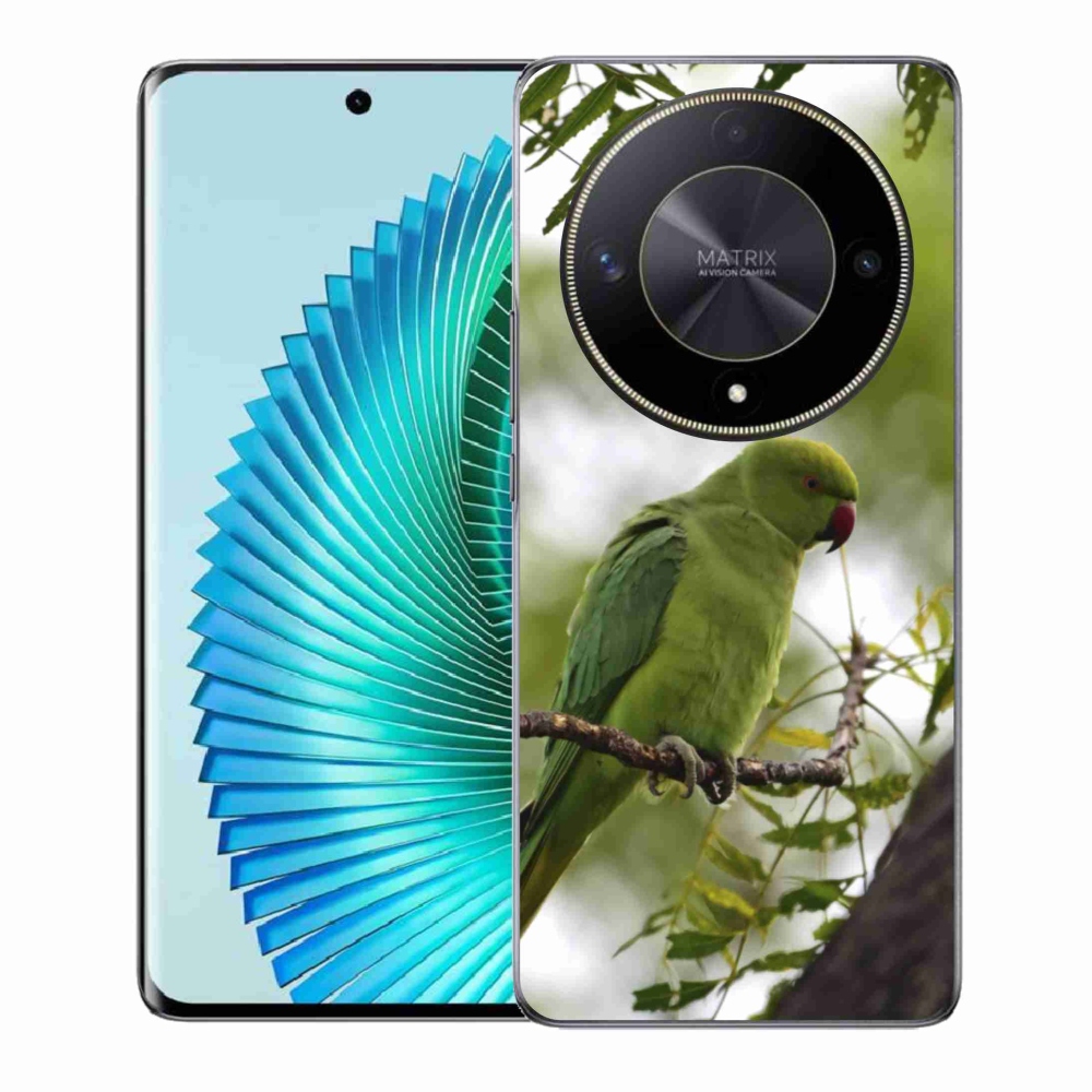 Zselés borítás mmCase a Honor Magic 6 Lite 5G készülékhez - zöld papagáj