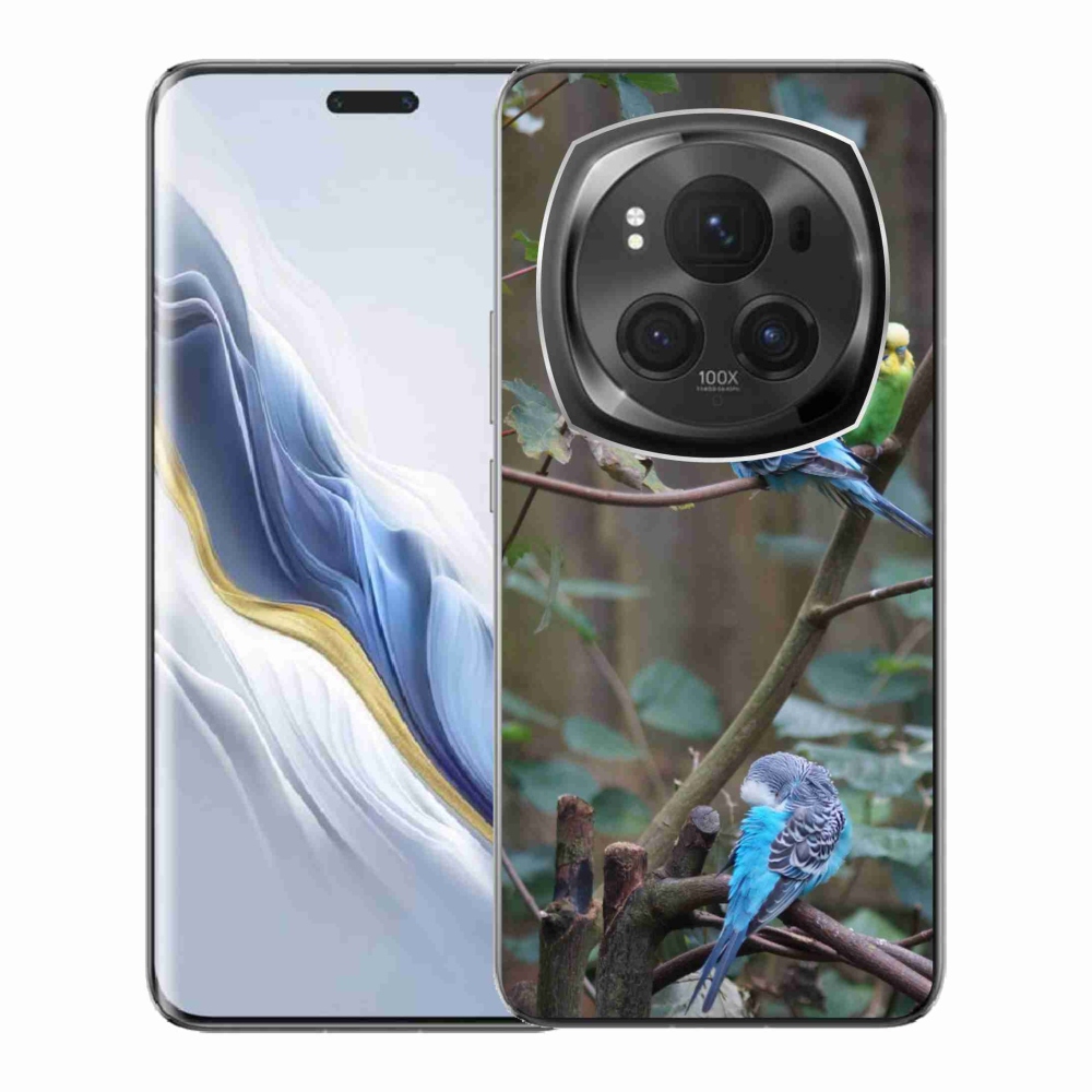 mmCase gél tok az Honor Magic 6 Pro 5G-hez – papagájok az ágon
