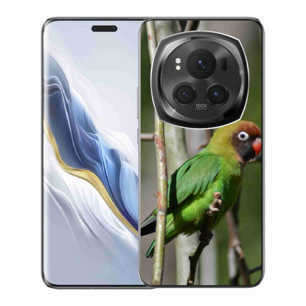 Zselés borítás mmCase a Honor Magic 6 Pro 5G készülékhez - papagáj agapornis