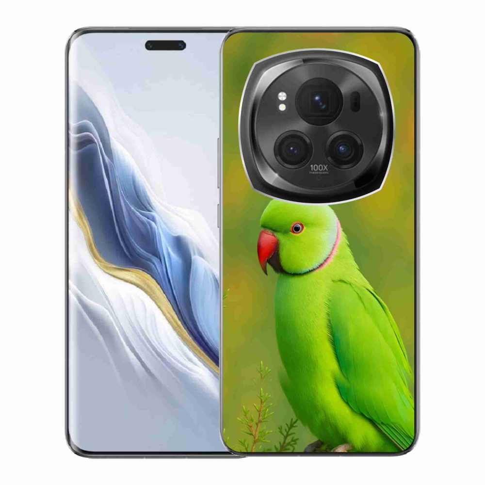 Zselés borítás mmCase a Honor Magic 6 Pro 5G készülékhez - papagáj alexander 2