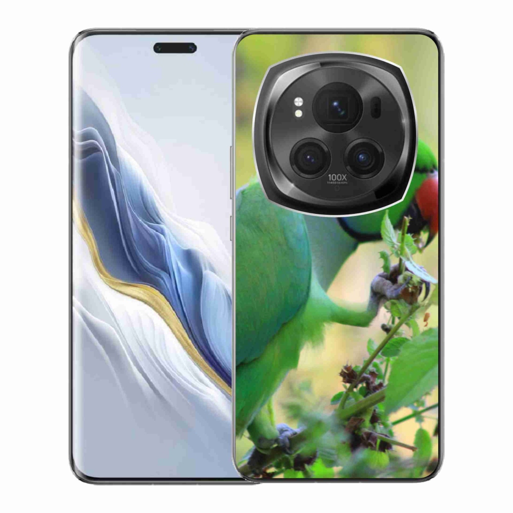 Zselés borítás mmCase a Honor Magic 6 Pro 5G készülékhez - papagáj alexandr