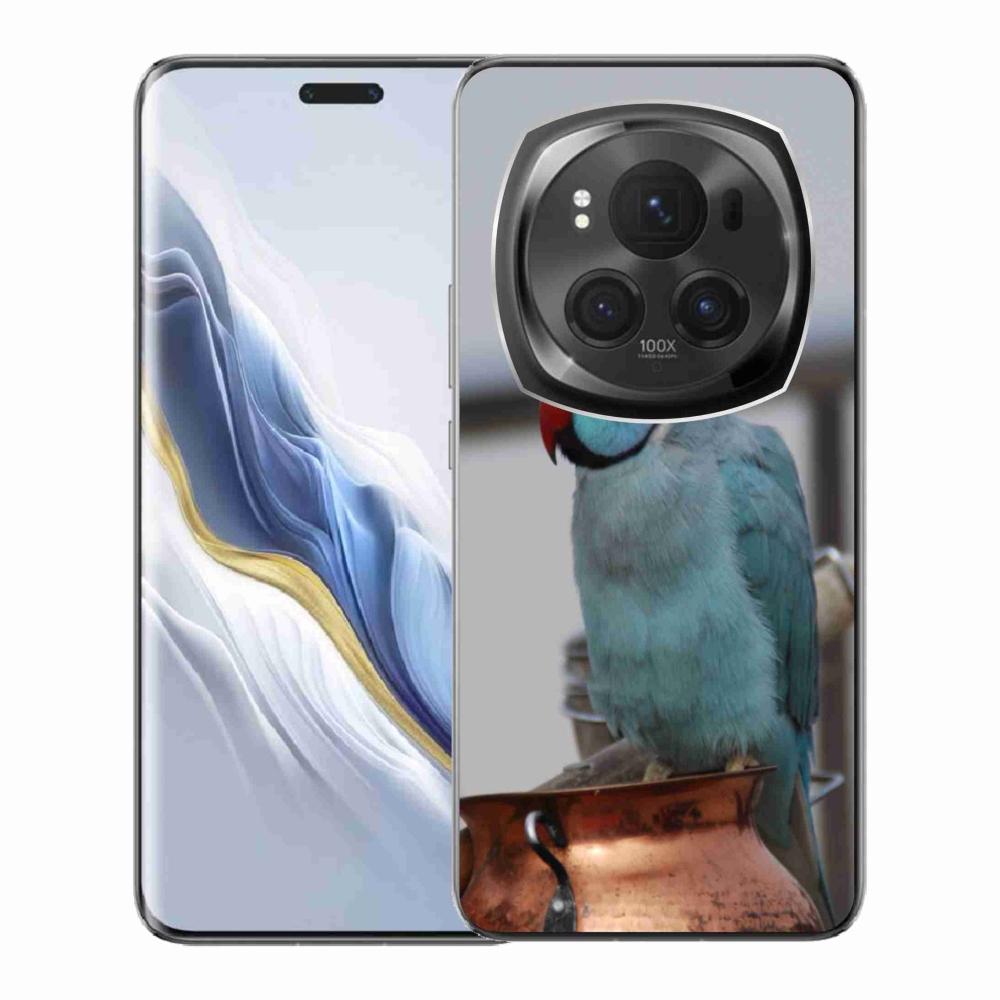 Zselés borítás mmCase a Honor Magic 6 Pro 5G készülékhez - papagáj alexander kék