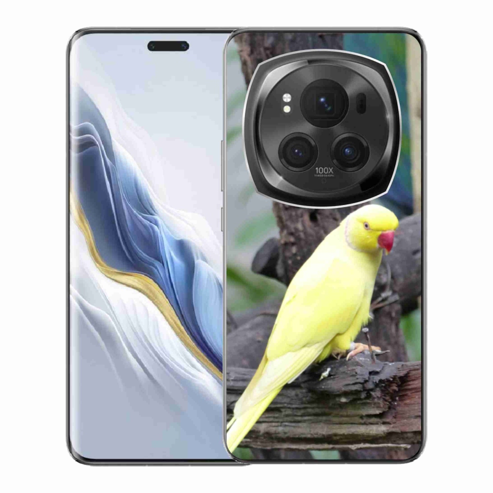 Zselés borítás mmCase a Honor Magic 6 Pro 5G készülékhez - papagáj alexander sárga