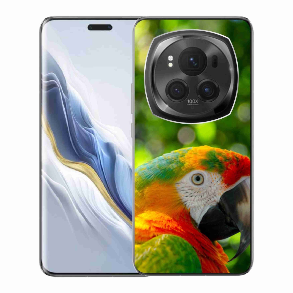 Gél borítás mmCase a Honor Magic 6 Pro 5G készülékhez - papagáj ara 3