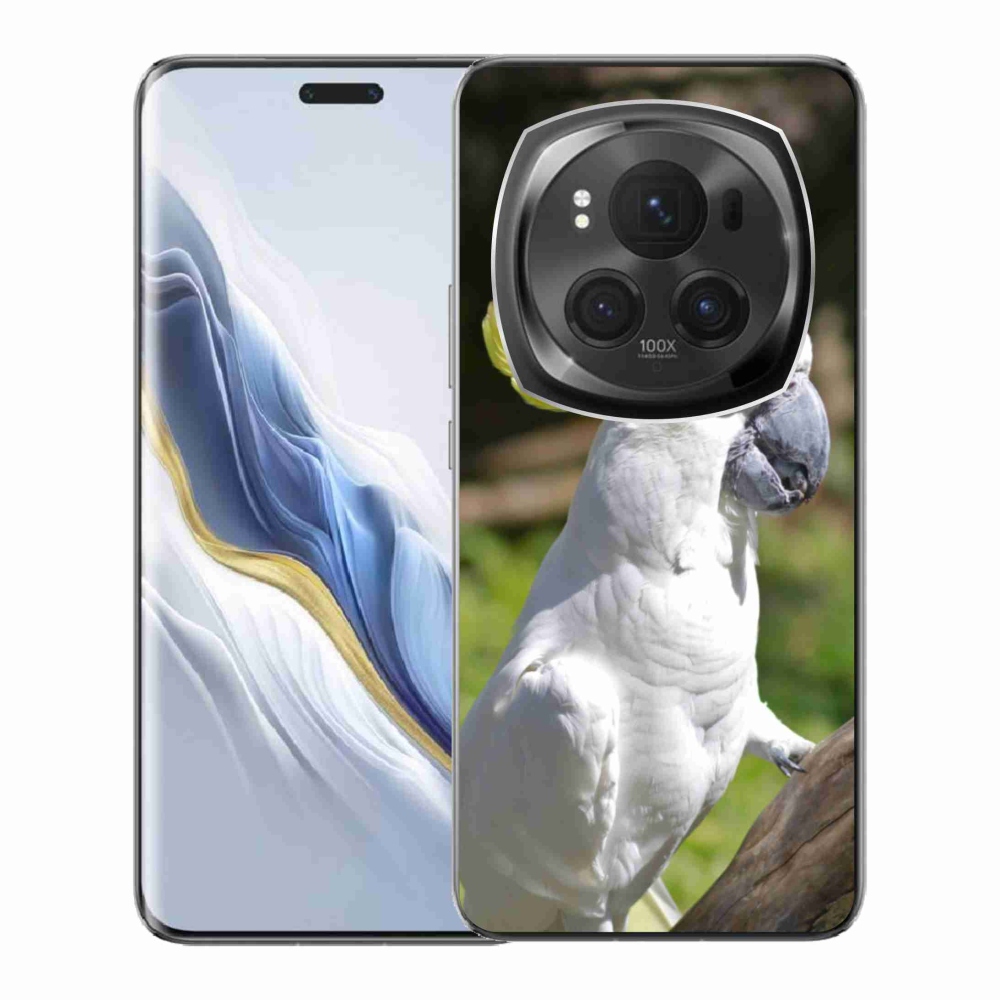 Gél borítás mmCase a Honor Magic 6 Pro 5G készülékhez - papagáj kakadu 2