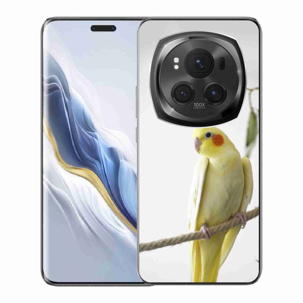 mmCase gél tok az Honor Magic 6 Pro 5G-hez – tollas papagáj