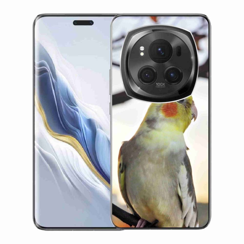 Zselés borítás mmCase a Honor Magic 6 Pro 5G készülékhez - papagáj korela