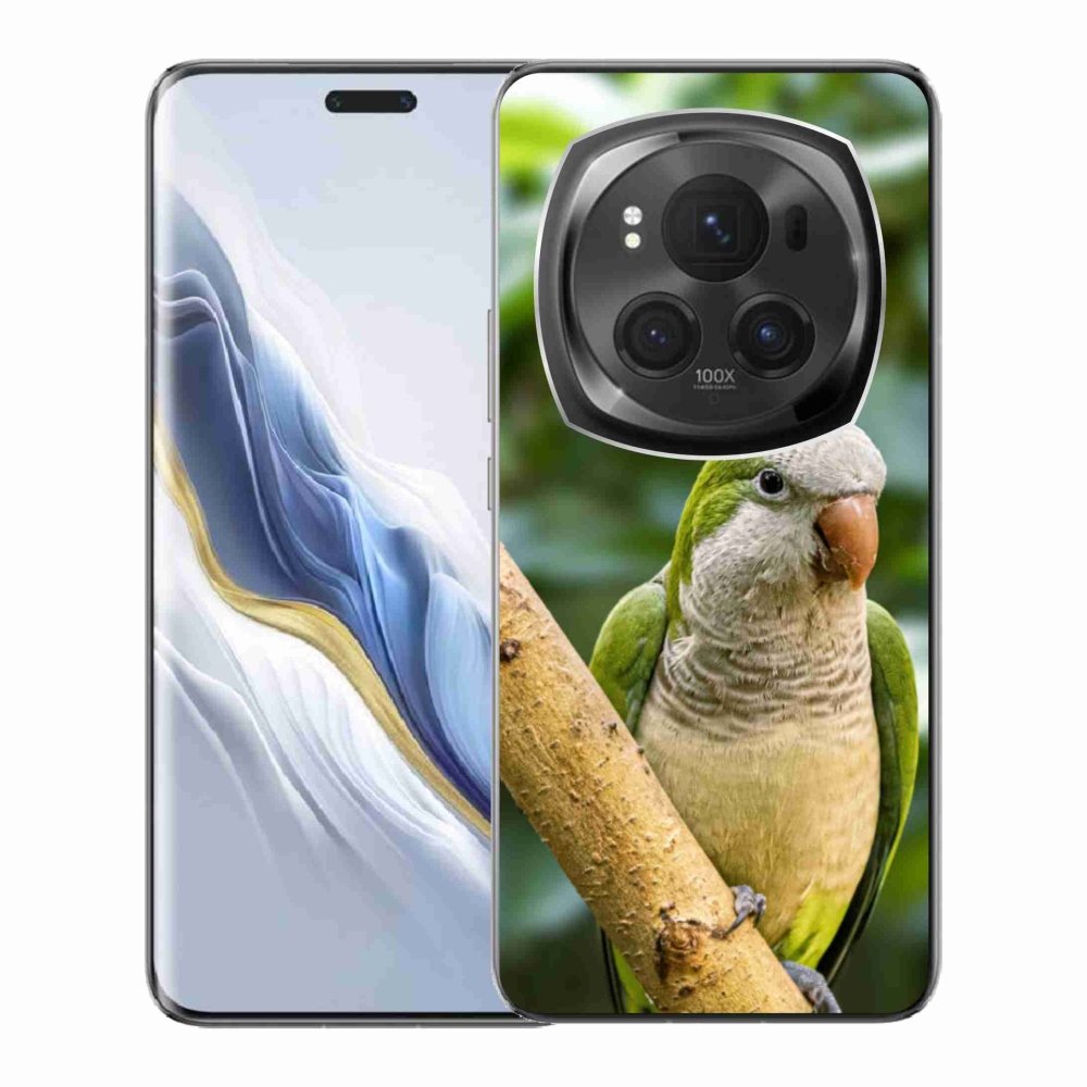 Zselés borítás mmCase a Honor Magic 6 Pro 5G készülékhez - papagáj