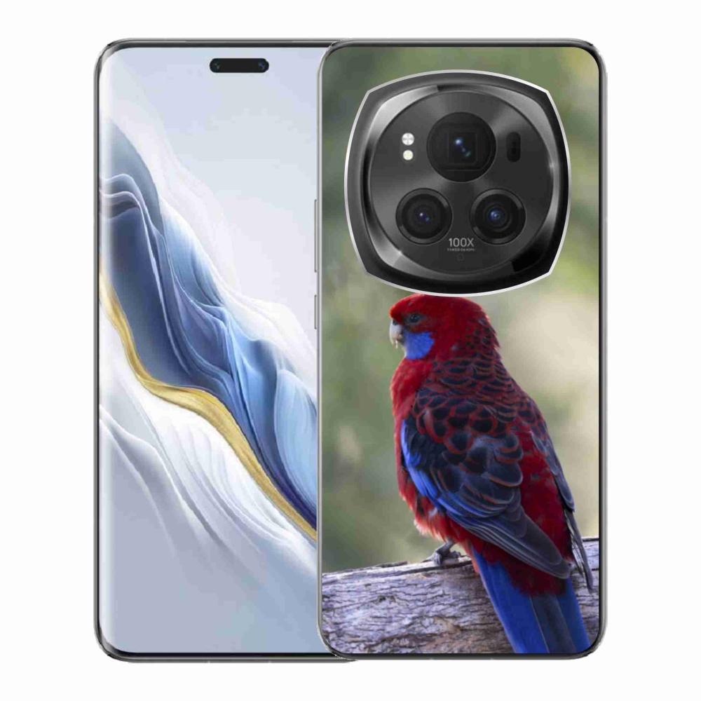 Zselés borítás mmCase a Honor Magic 6 Pro 5G készülékhez - papagáj rosela