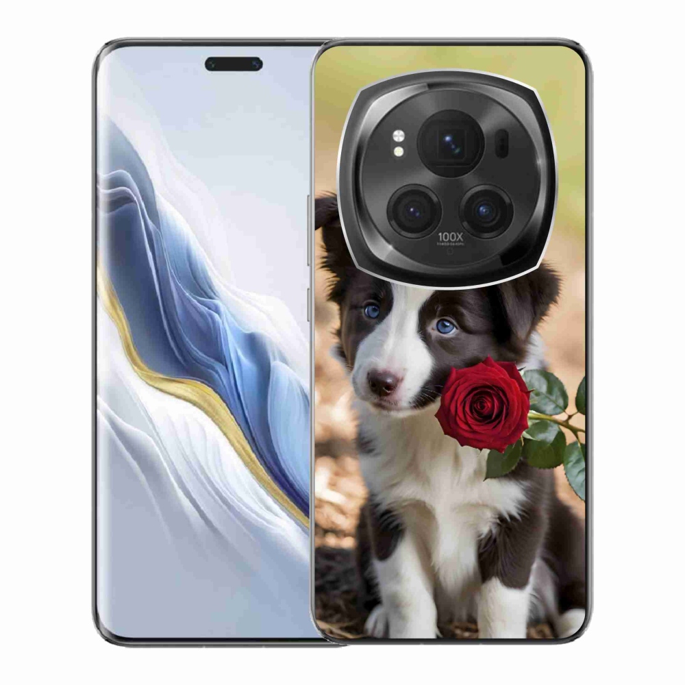 mmCase gél tok az Honor Magic 6 Pro 5G-hez – aranyos border collie rózsával