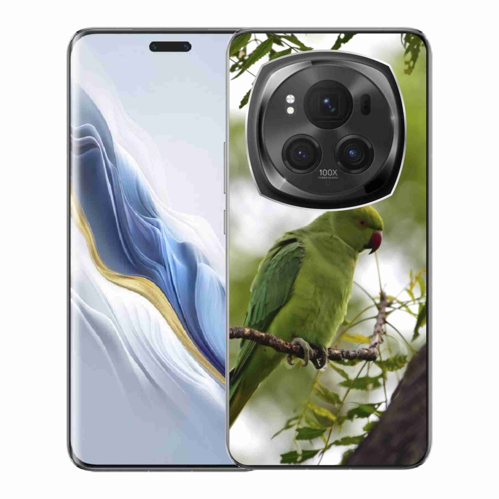 Zselés borítás mmCase a Honor Magic 6 Pro 5G készülékhez - zöld papagáj